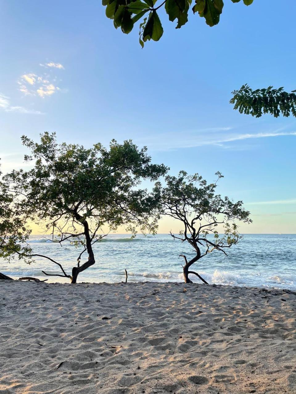 Tamarindo Beach, Prime Location, Fantastic Watersalt Pool & Cold Plunge, Family & Friends Екстер'єр фото