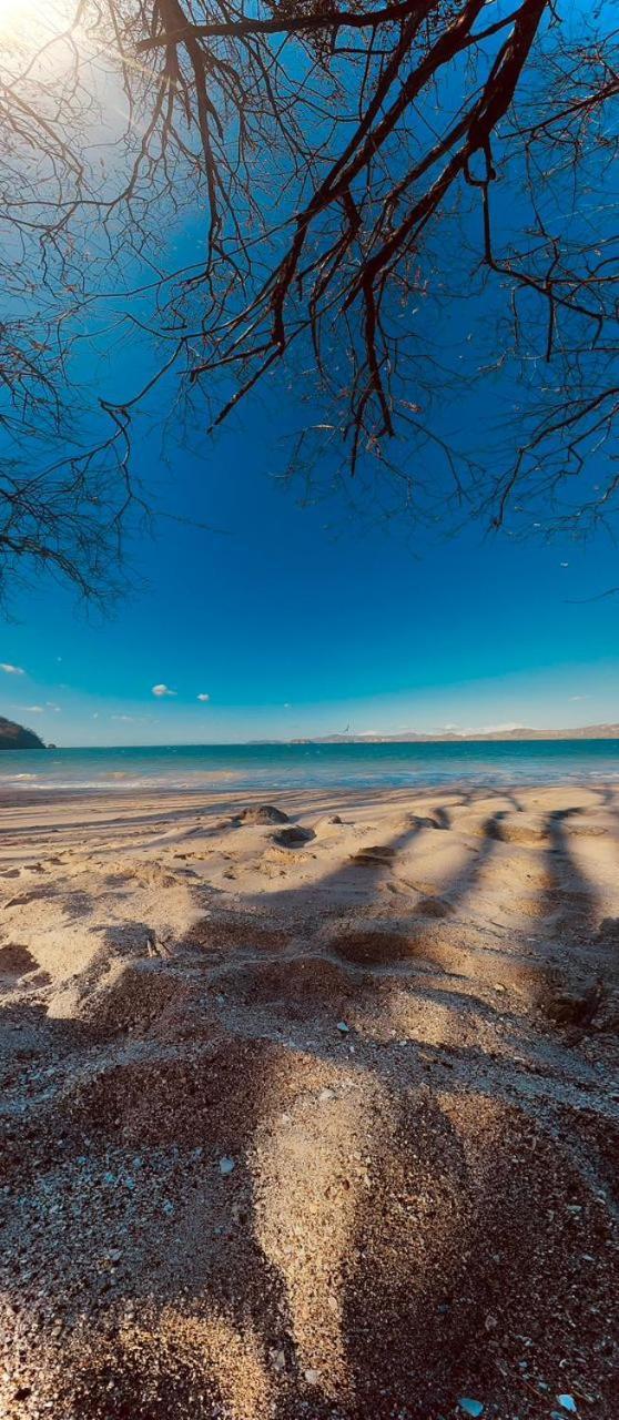 Tamarindo Beach, Prime Location, Fantastic Watersalt Pool & Cold Plunge, Family & Friends Екстер'єр фото